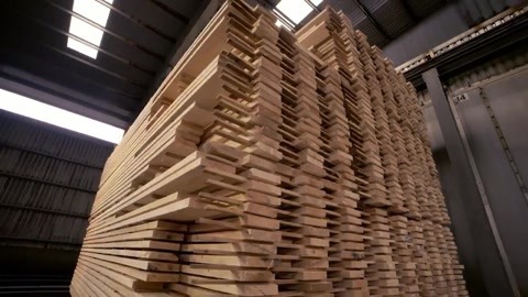 探访瑞典木材加工厂 揭秘高品质“地友木方”的北欧源头