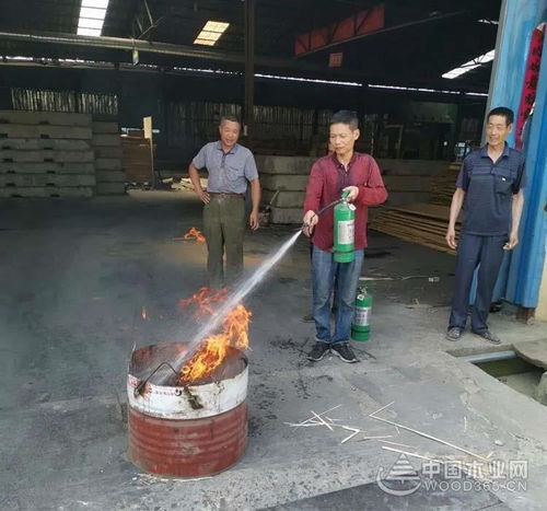 桑墟镇开展木材加工企业消防安全演练日活动，筑牢行业安全防线